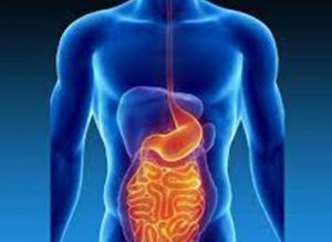 Gastrology And Hepatology